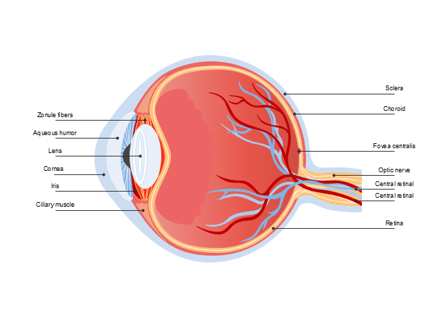 Eye Diagram